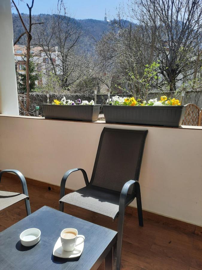 Pif Apartments Sadoveanu Braşov Exteriör bild